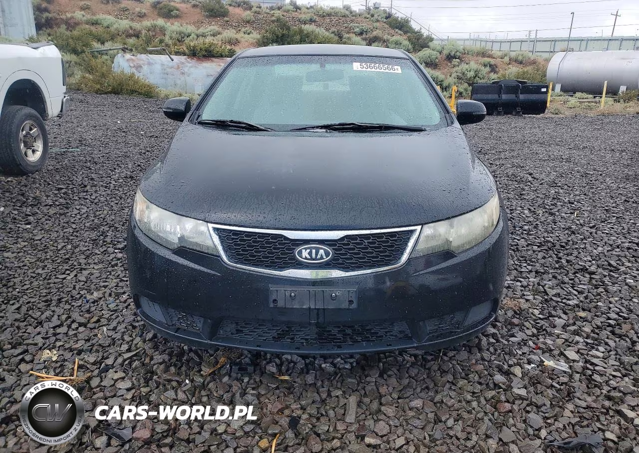 2012 Kia Forte Ex VIN:KNAFU4A29C5602146 - 5