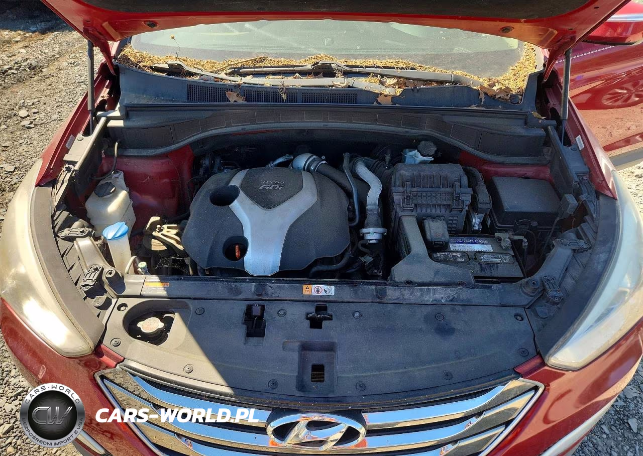 2014 Hyundai Santa Fe Sport 2.0T VIN:5XYZW3LA7EG173074 - 12