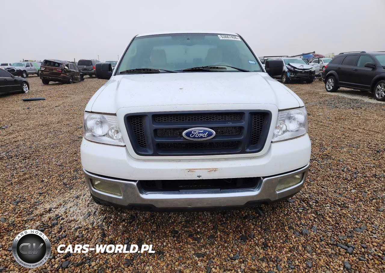 2004 Ford F150 VIN:1FTPX12594NB40517 - 5