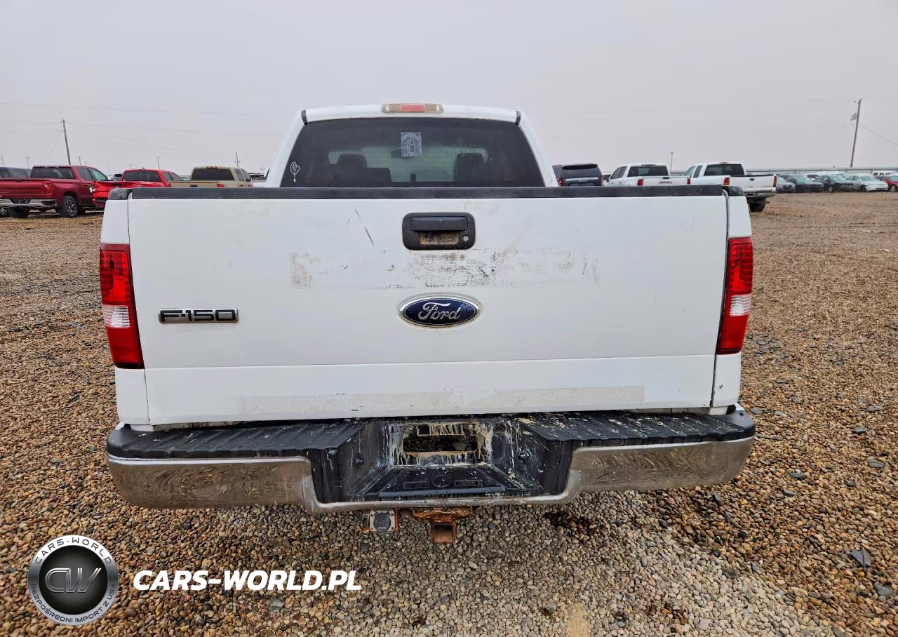 2004 Ford F150 VIN:1FTPX12594NB40517 - 6