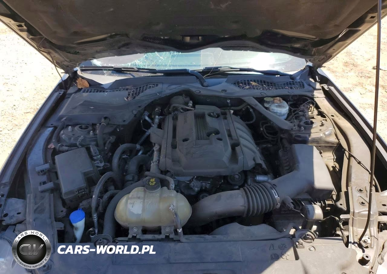 2020 Ford Mustang VIN:1FATP8UH1L5137419 - 11