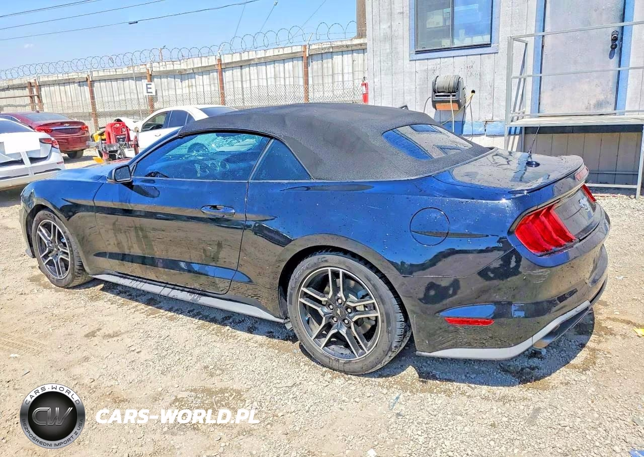 2020 Ford Mustang VIN:1FATP8UH1L5137419 - 2