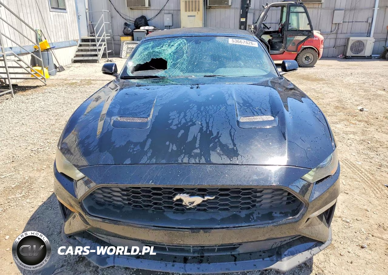 2020 Ford Mustang VIN:1FATP8UH1L5137419 - 5