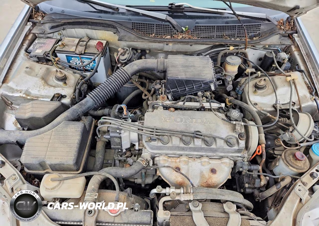 1999 Honda Civic Lx VIN:1HGEJ6672XL043291 - 11