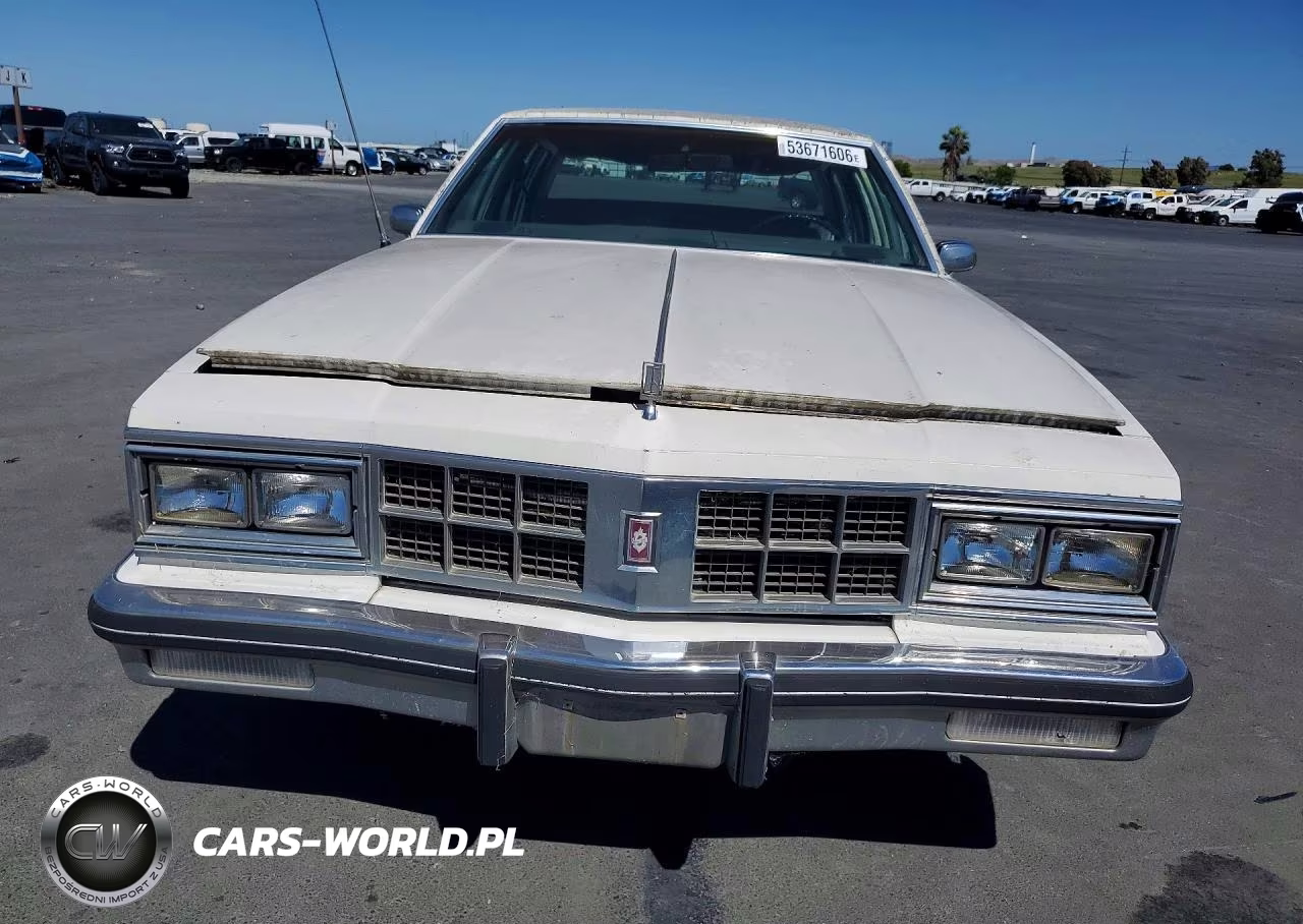 1981 Oldsmobile 98 Regency VIN:1G3AX69Y5BM254990 - 5
