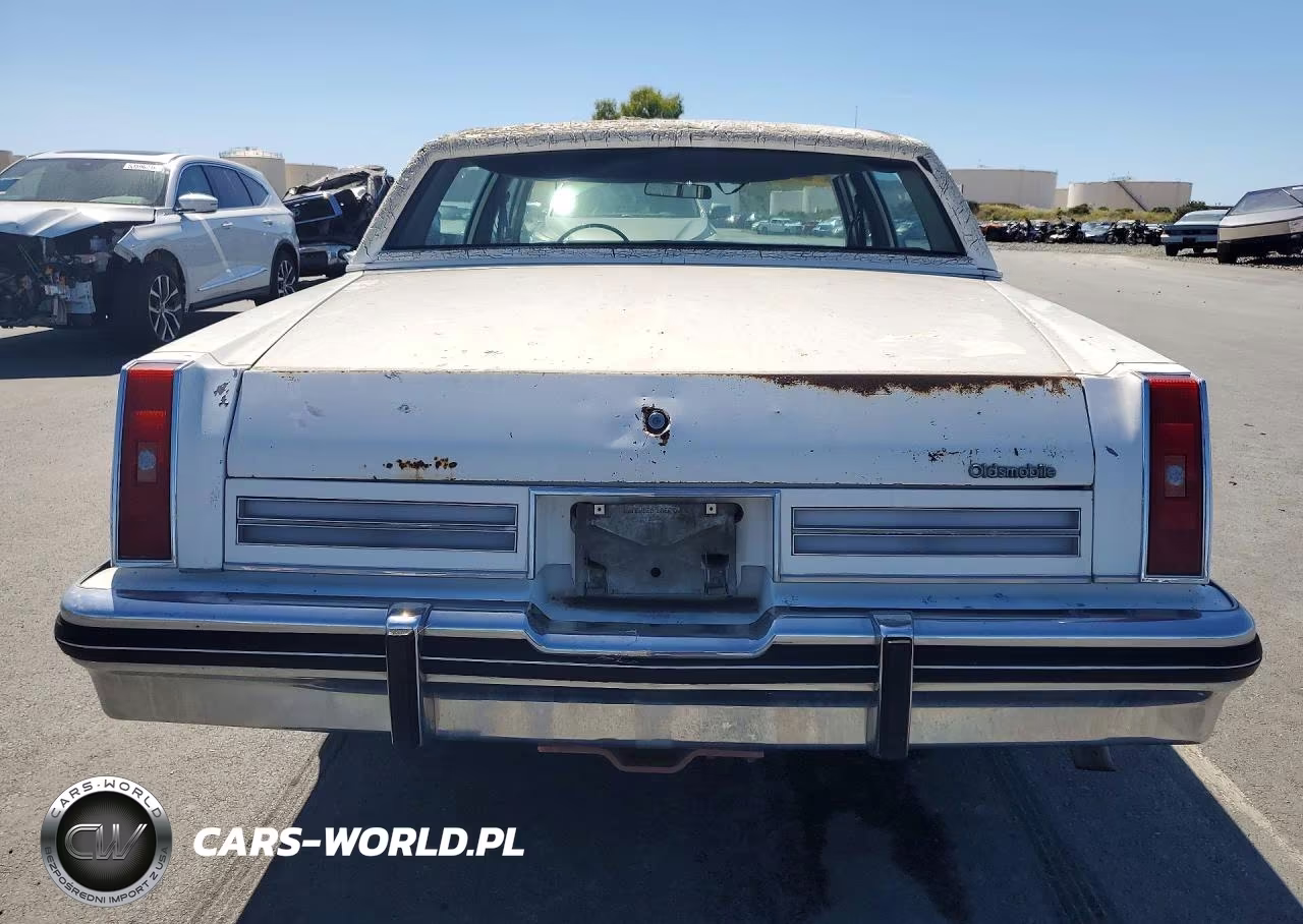 1981 Oldsmobile 98 Regency VIN:1G3AX69Y5BM254990 - 6