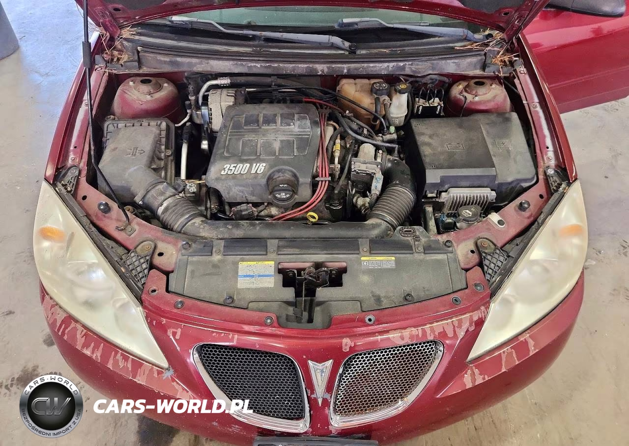 2005 Pontiac G6 VIN:1G2ZG528154167006 - 11