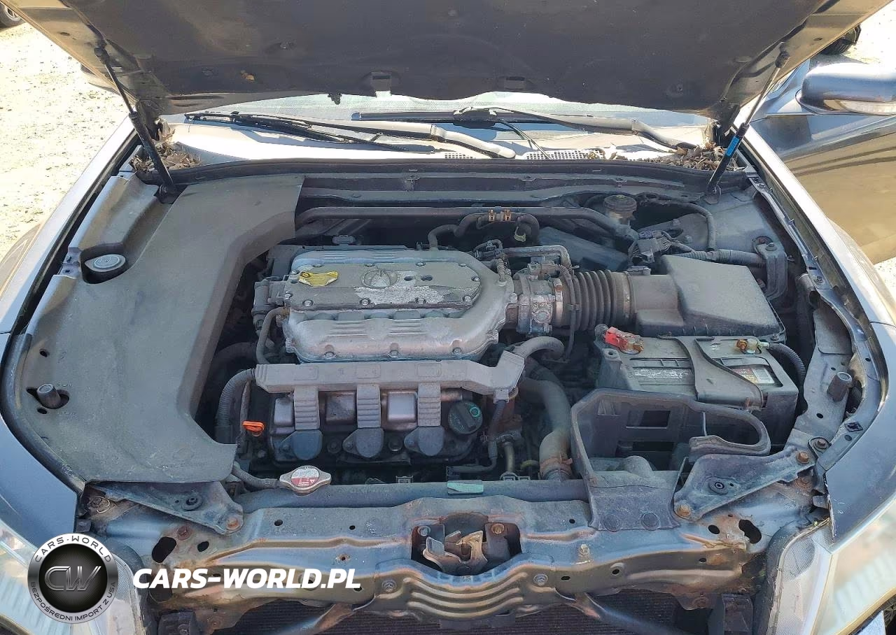 2009 Acura Tl VIN:19UUA96579A005212 - 11
