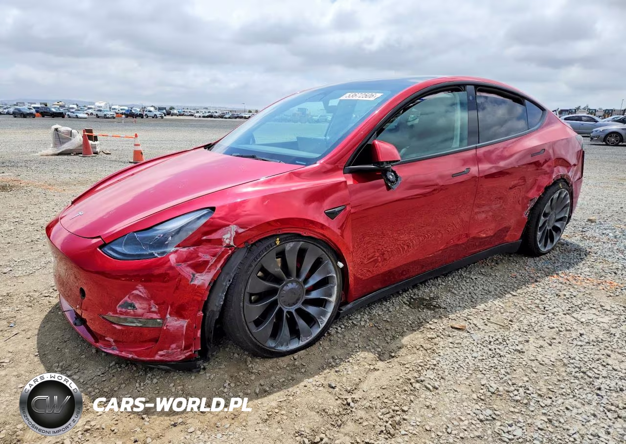 2023 Tesla Model Y