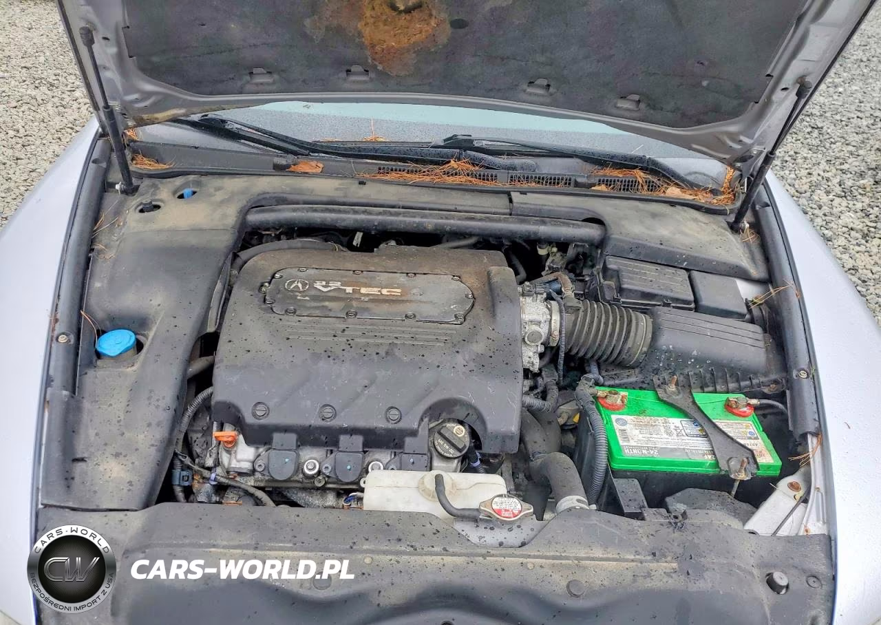 2005 Acura Tl VIN:19UUA66205A019662 - 11