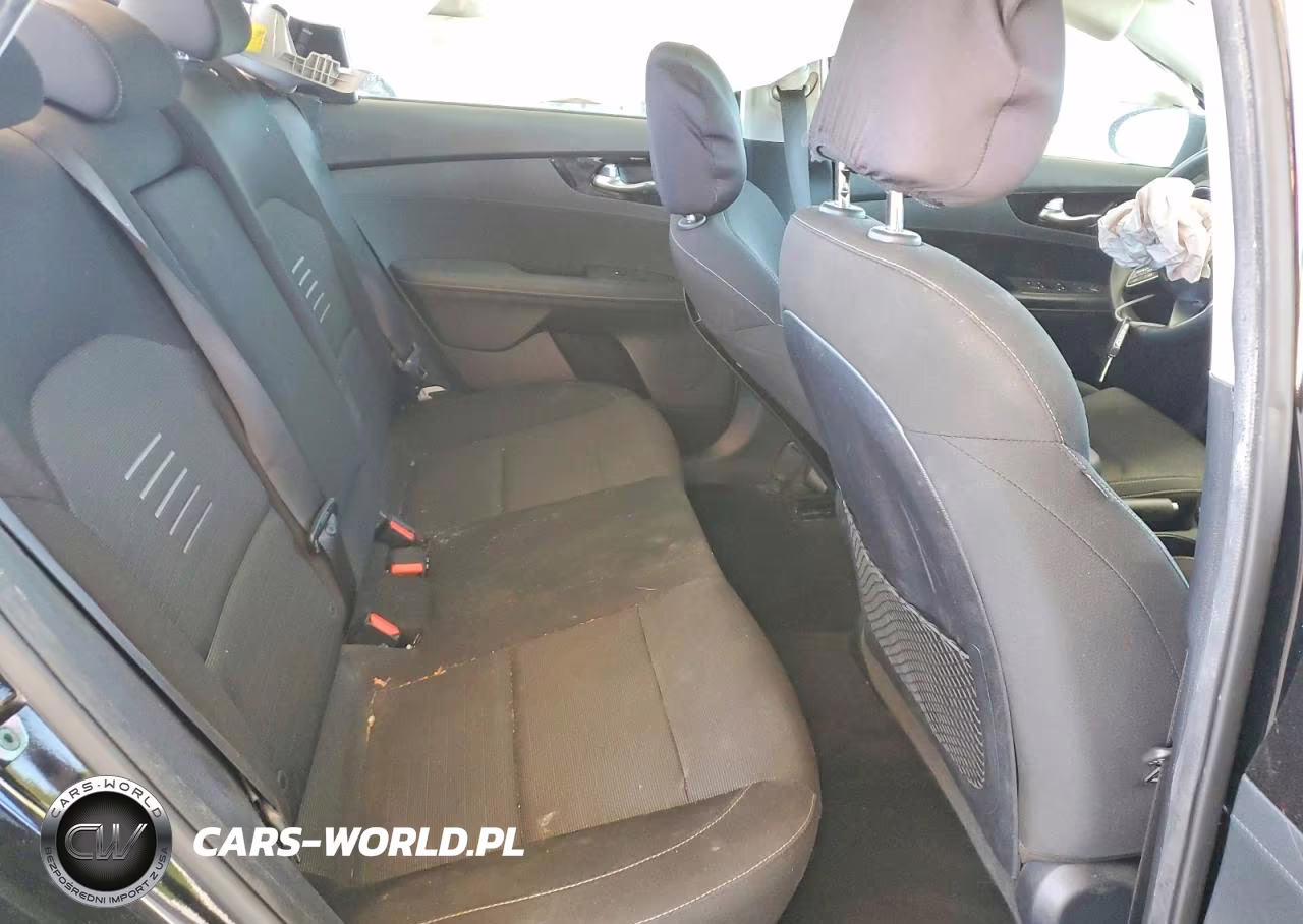 2019 Kia Forte S VIN:3KPF34AD2KE018570 - 10
