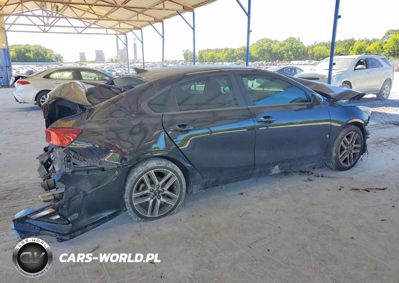 2019 Kia Forte S VIN:3KPF34AD2KE018570 - 3