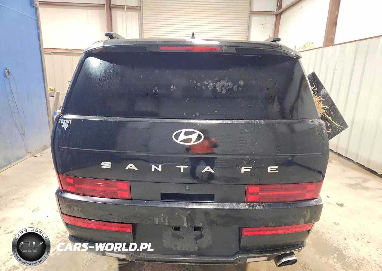 2025 Hyundai Santa Fe Sel VIN:5NMP24GL6SH086885 - 6
