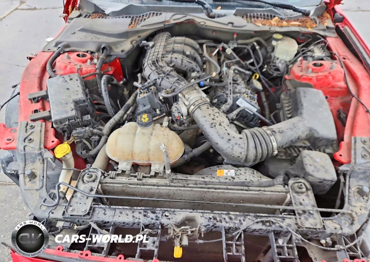 2016 Ford Mustang VIN:1FA6P8AM3G5272003 - 11