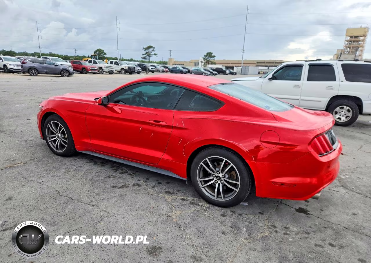 2016 Ford Mustang VIN:1FA6P8AM3G5272003 - 2
