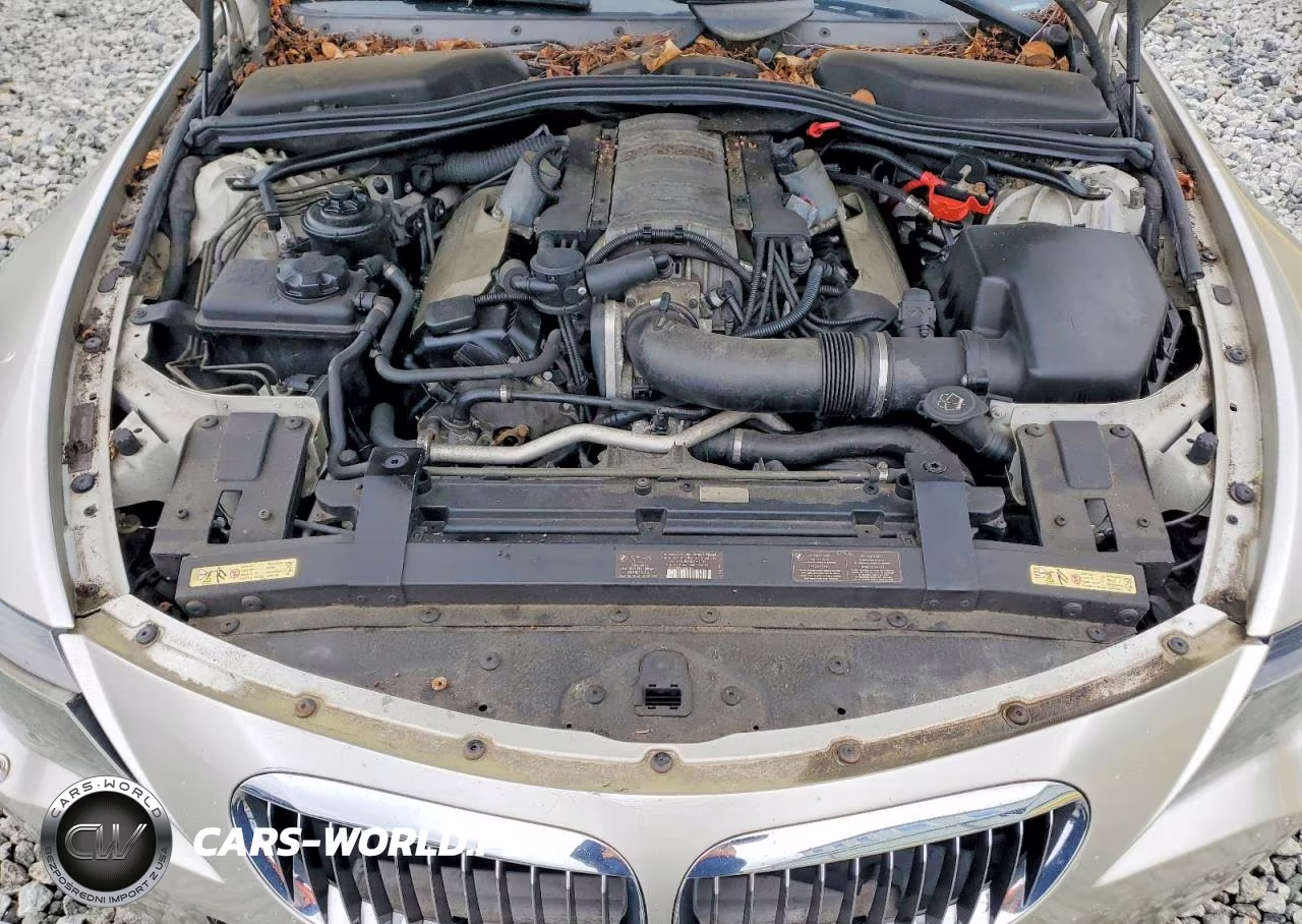 2005 BMW 6 Series VIN:WBAEK73475B260850 - 11