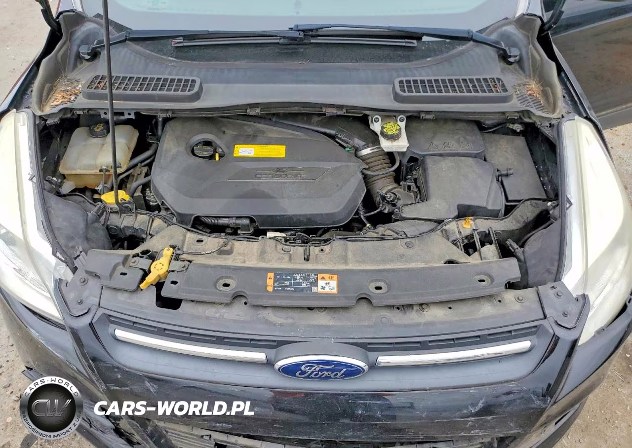 2016 Ford Escape Se VIN:1FMCU0GX4GUB41219 - 12