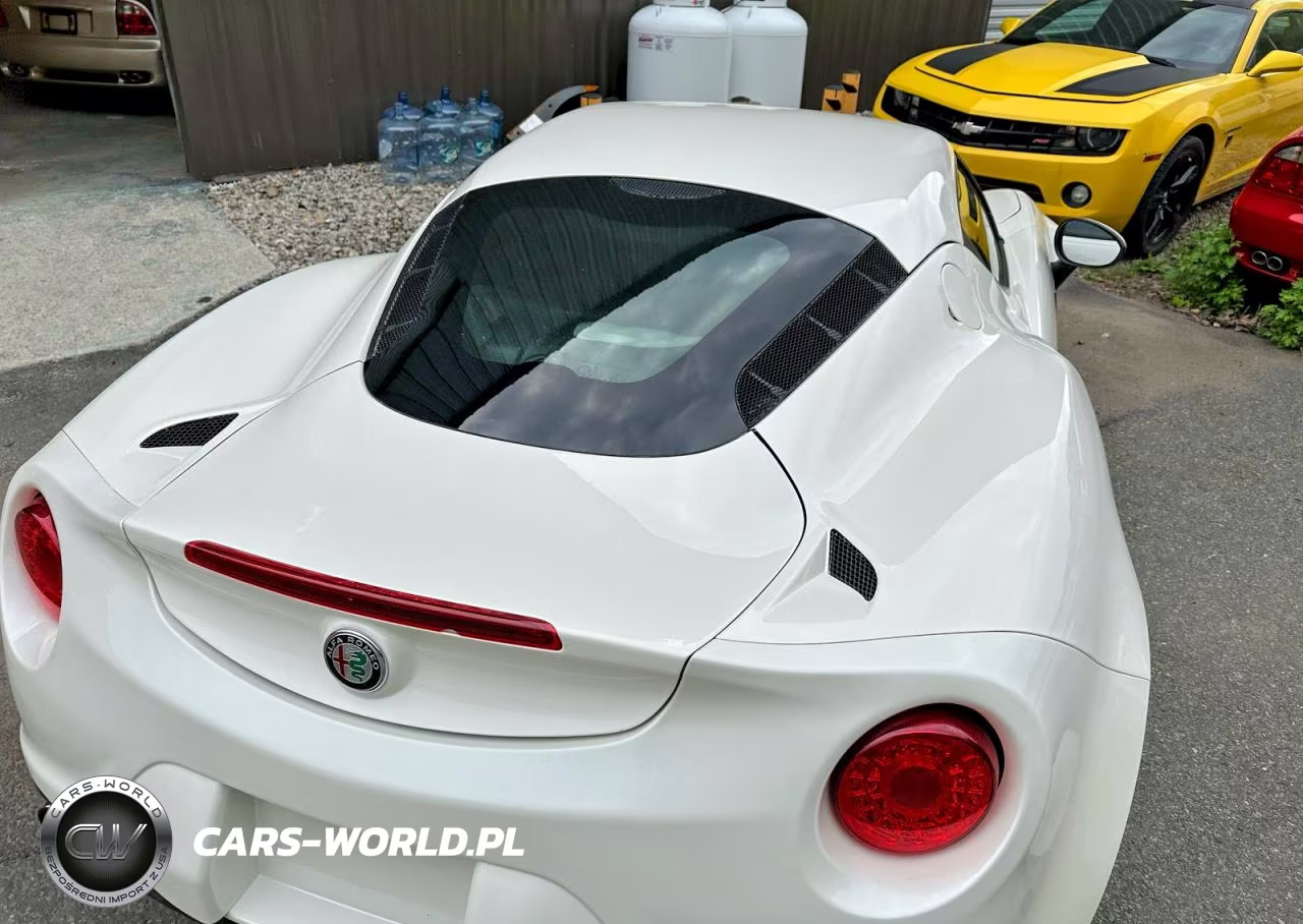 2016 Alfa Romeo 4C VIN:ZARBAAA41GM177436 - 13