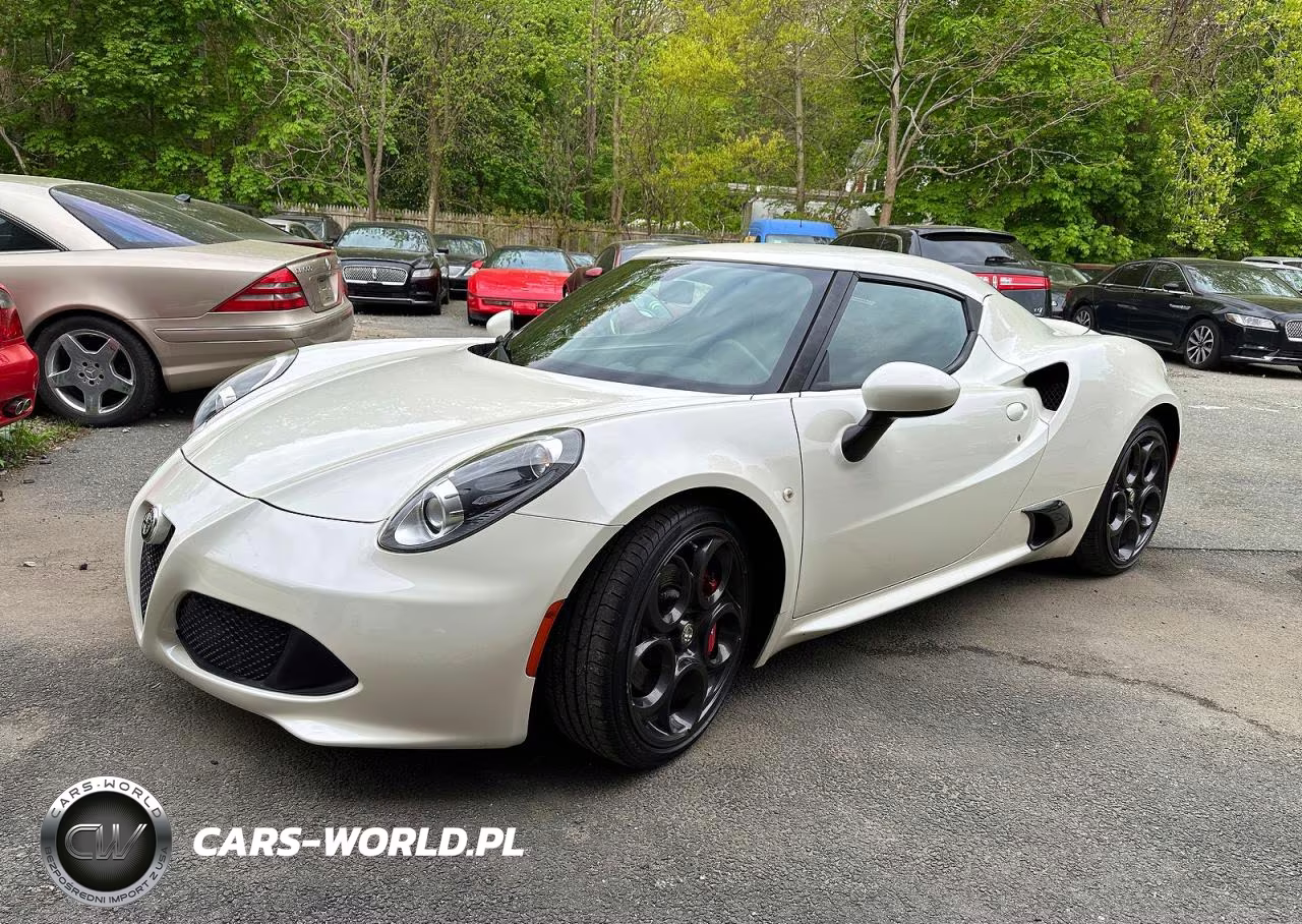 2016 Alfa Romeo 4C VIN:ZARBAAA41GM177436 - 2