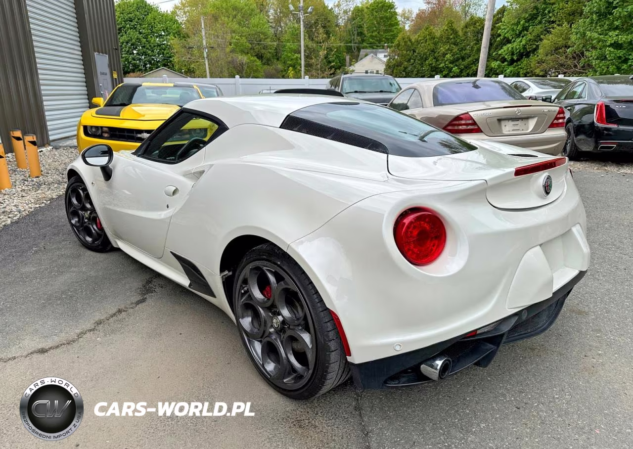 2016 Alfa Romeo 4C VIN:ZARBAAA41GM177436 - 3