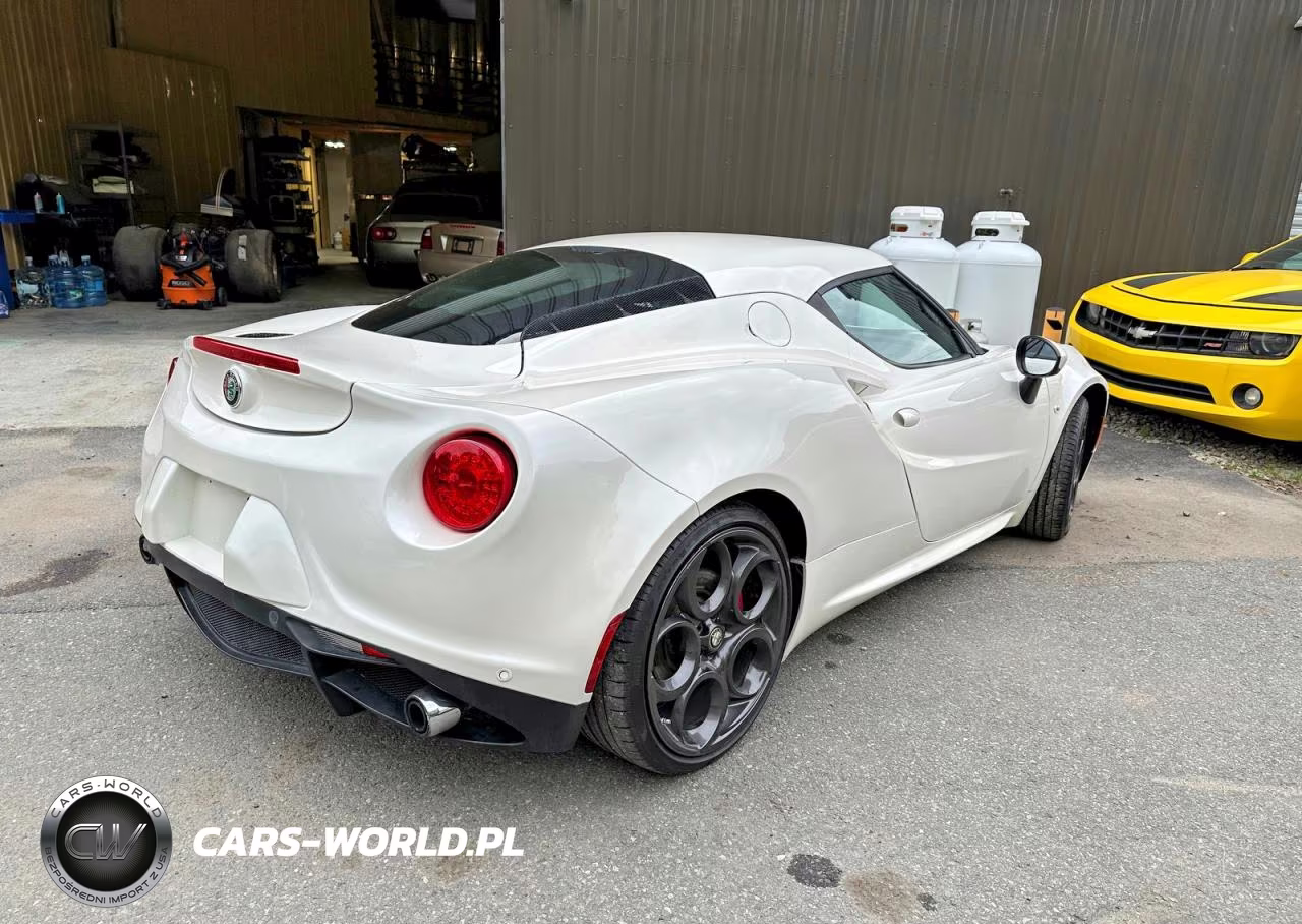 2016 Alfa Romeo 4C VIN:ZARBAAA41GM177436 - 4