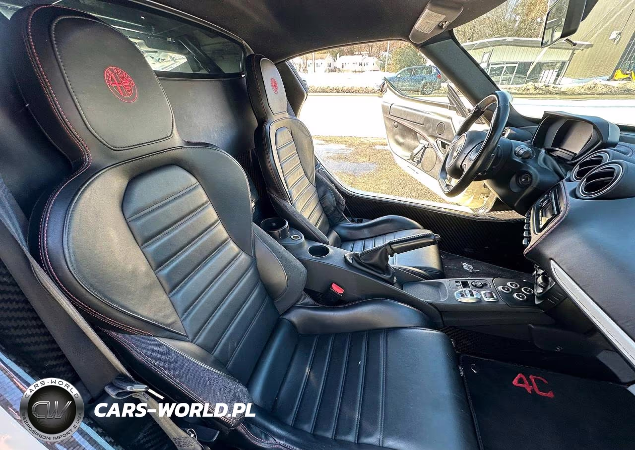 2016 Alfa Romeo 4C VIN:ZARBAAA41GM177436 - 5