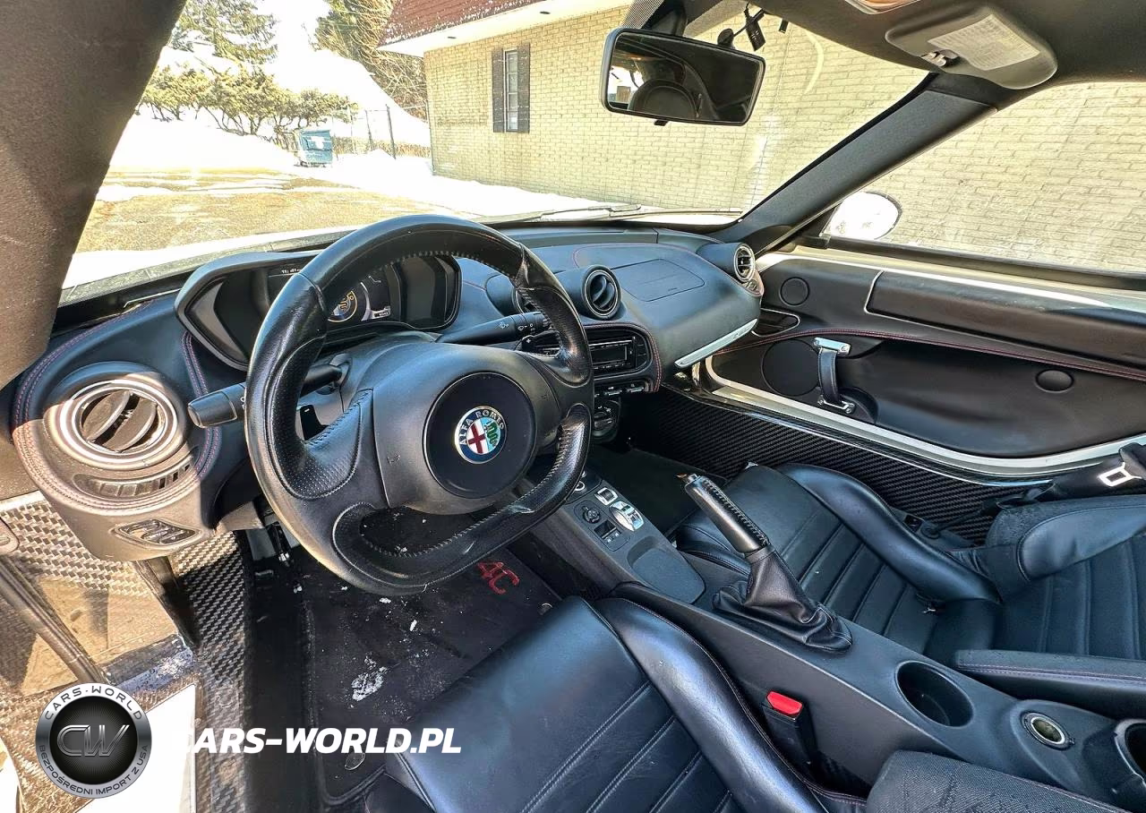 2016 Alfa Romeo 4C VIN:ZARBAAA41GM177436 - 9
