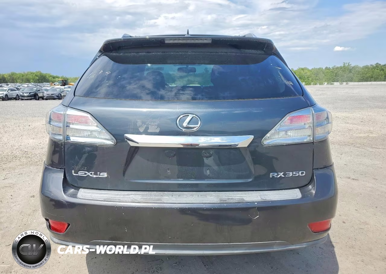 2010 Lexus Rx 350 VIN:2T2BK1BA5AC006782 - 6
