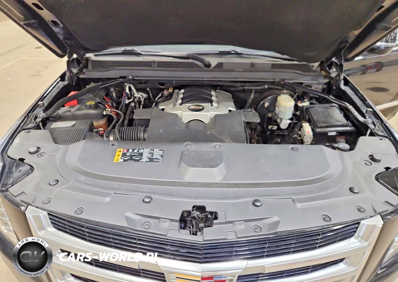 2019 Cadillac Escalade Esv Luxury VIN:1GYS4HKJ5KR176701 - 12