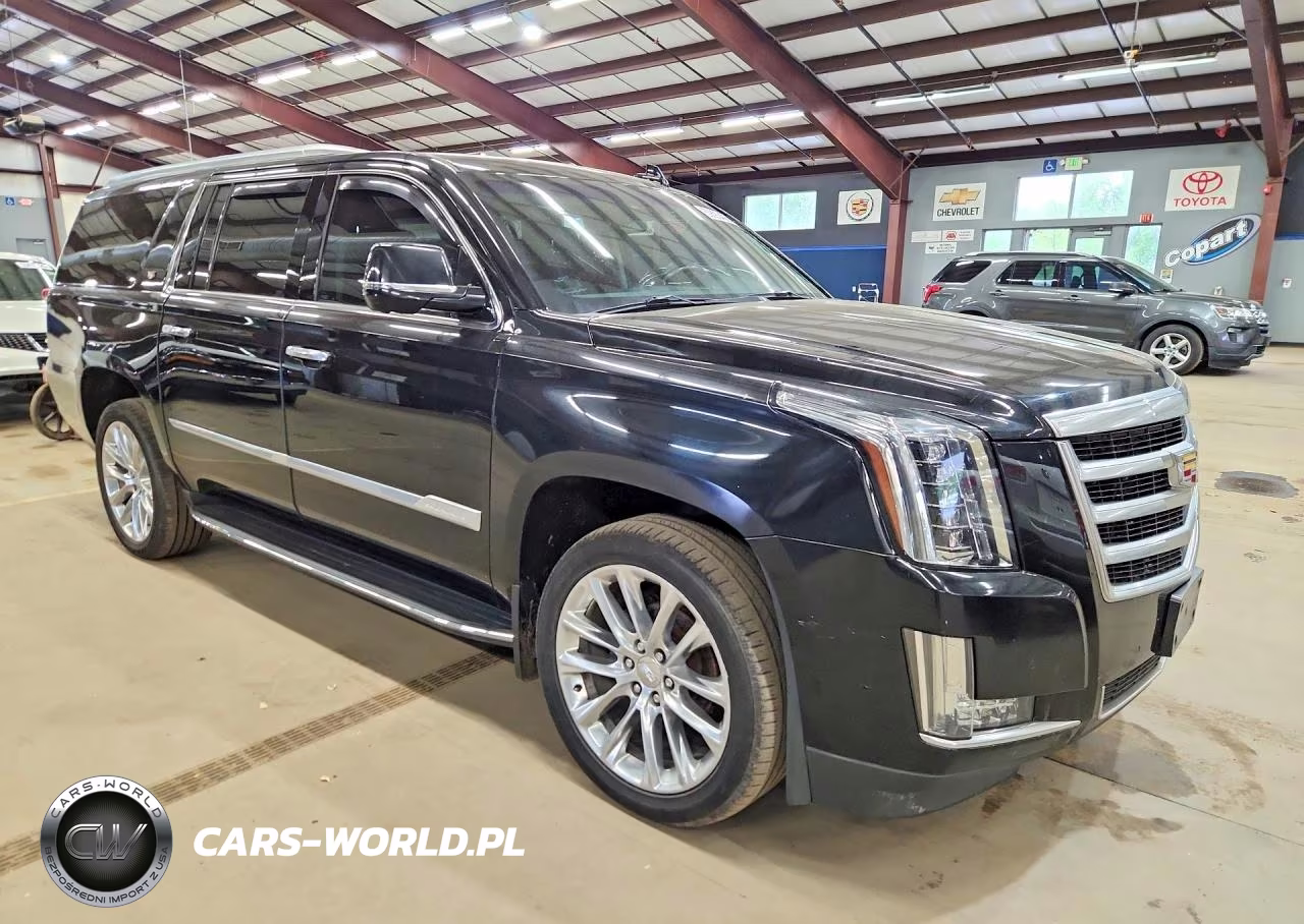 2019 Cadillac Escalade Esv Luxury VIN:1GYS4HKJ5KR176701 - 4