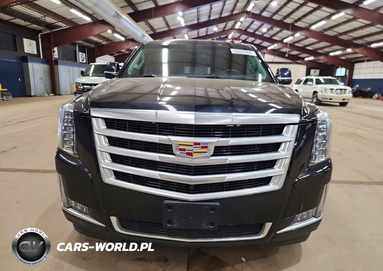 2019 Cadillac Escalade Esv Luxury VIN:1GYS4HKJ5KR176701 - 5