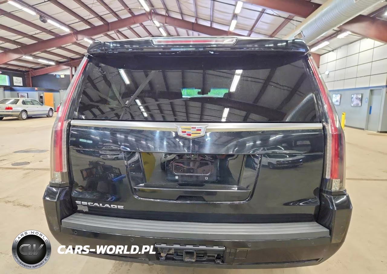 2019 Cadillac Escalade Esv Luxury VIN:1GYS4HKJ5KR176701 - 6