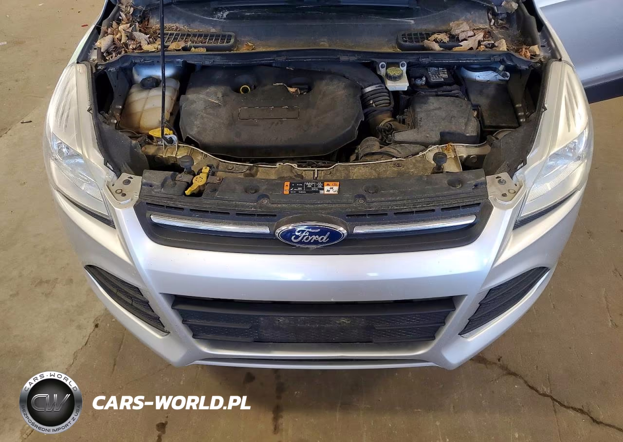2015 Ford Escape Se VIN:1FMCU9G91FUC66165 - 12