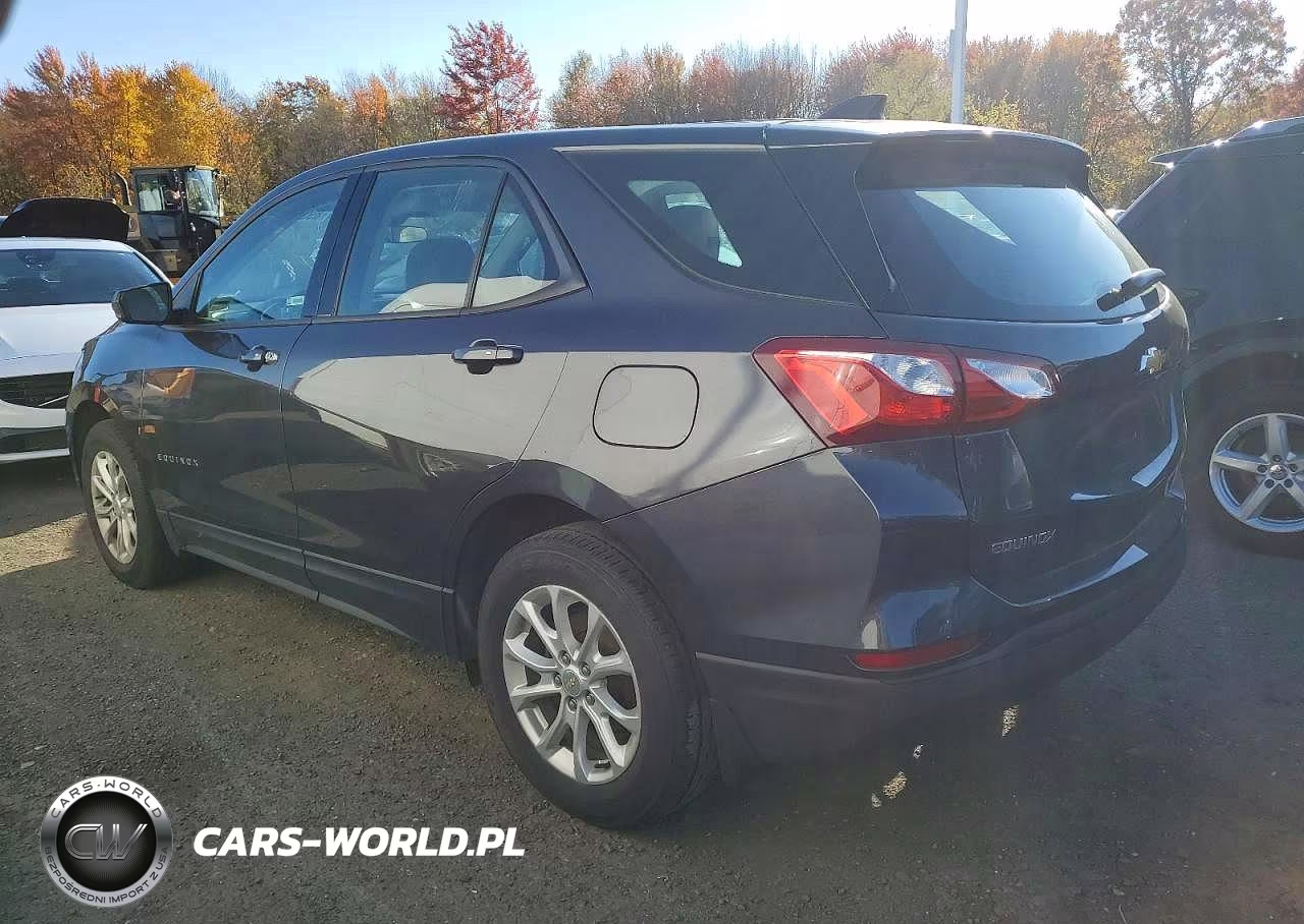 2019 Chevrolet Equinox Ls VIN:2GNAXHEV7K6225181 - 2