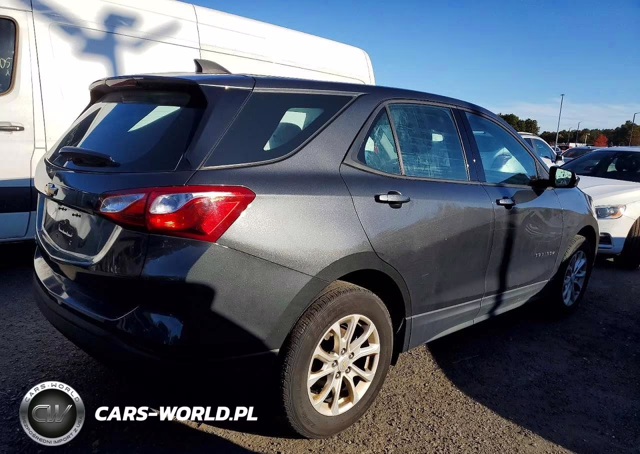 2019 Chevrolet Equinox Ls VIN:2GNAXHEV7K6225181 - 3