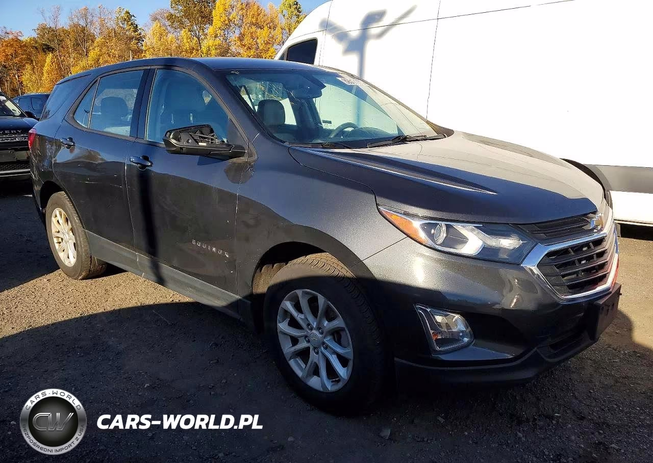2019 Chevrolet Equinox Ls VIN:2GNAXHEV7K6225181 - 4