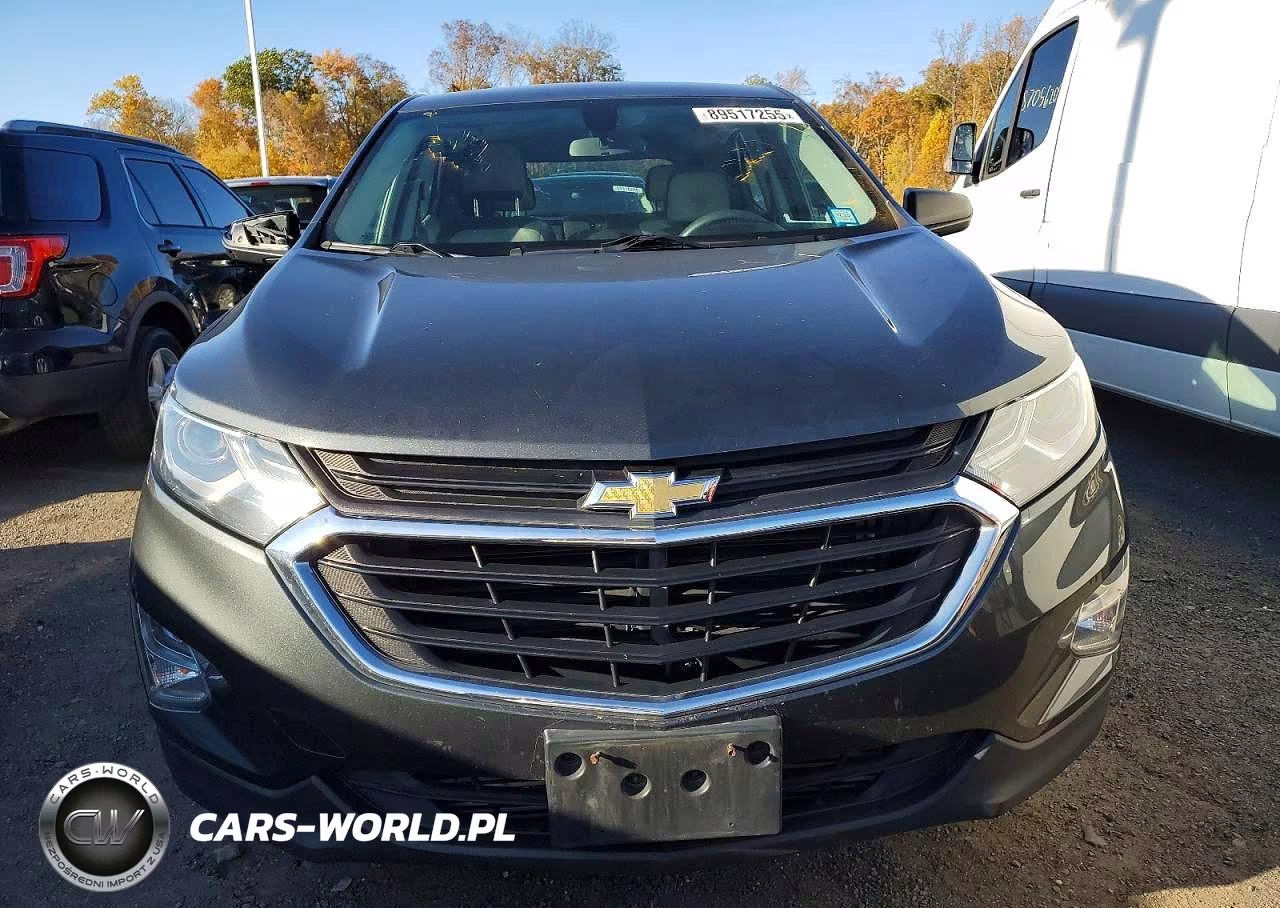 2019 Chevrolet Equinox Ls VIN:2GNAXHEV7K6225181 - 5