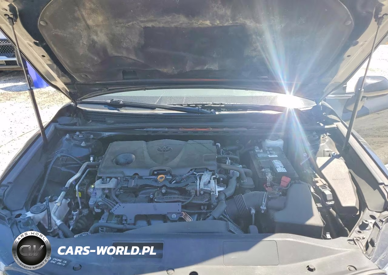 2019 Toyota Camry Se VIN:4T1B11HK7KU743179 - 11