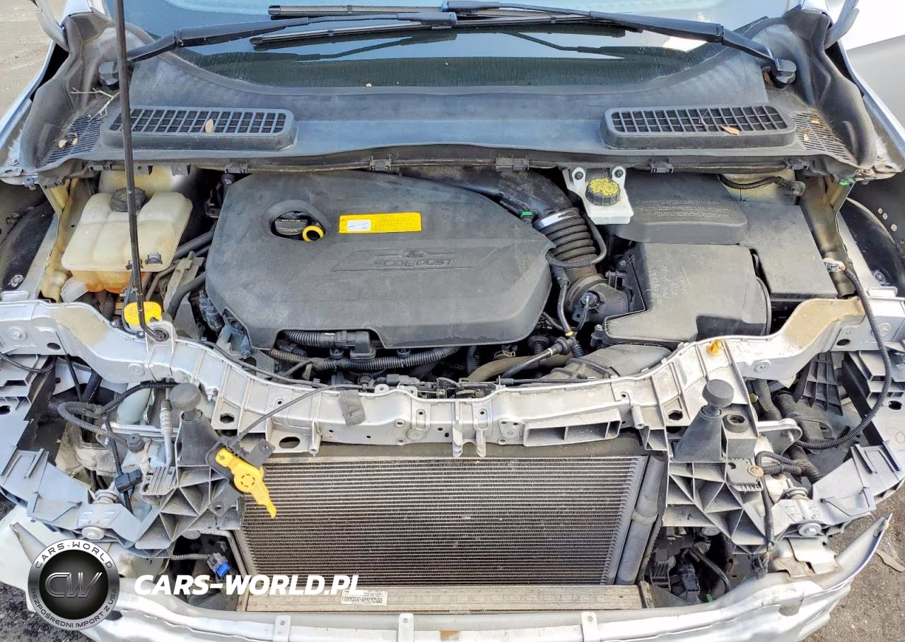 2015 Ford Escape Se VIN:1FMCU0GX6FUB03635 - 11