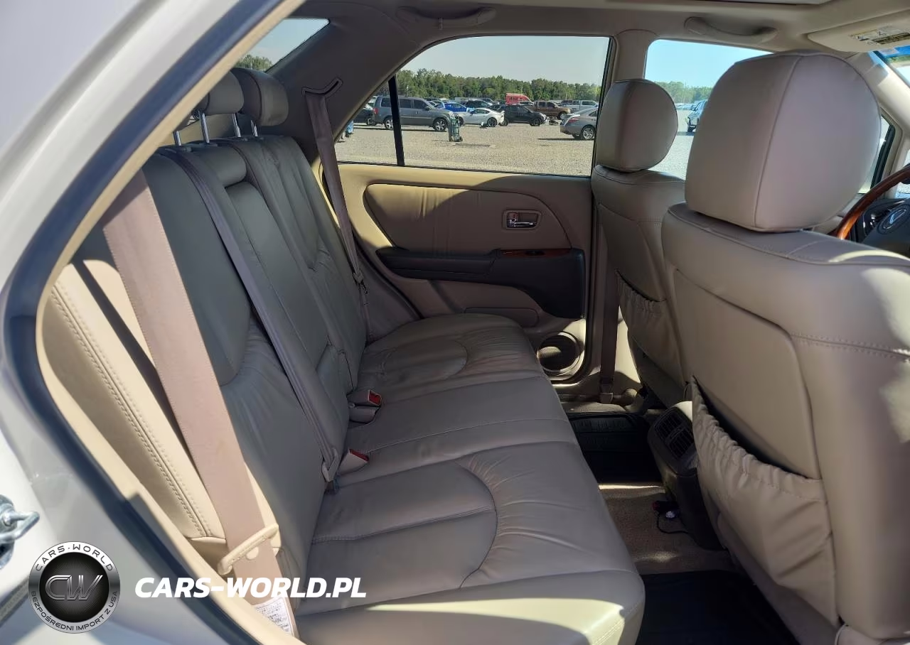 2002 Lexus Rx 300 VIN:JTJHF10U520254068 - 11