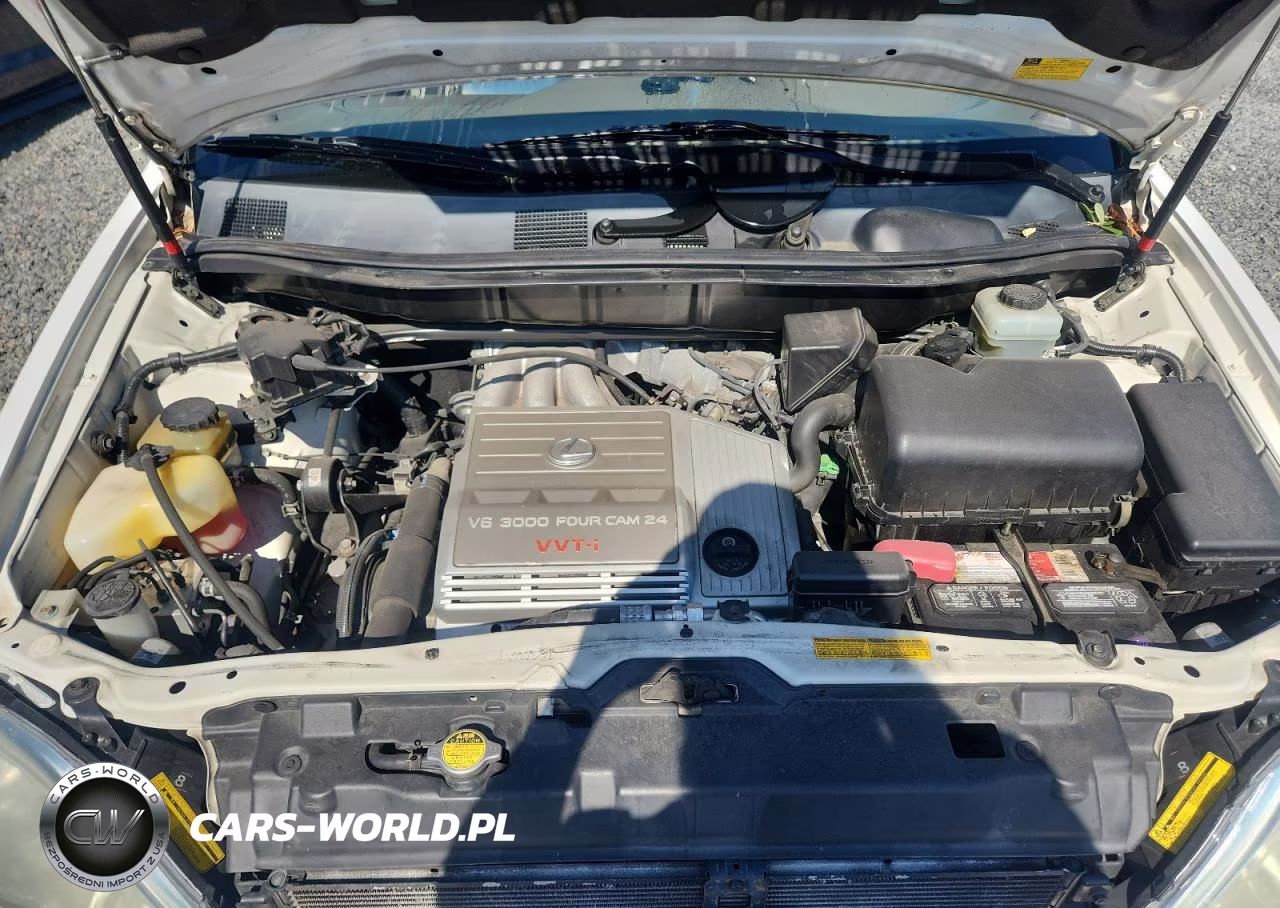 2002 Lexus Rx 300 VIN:JTJHF10U520254068 - 12