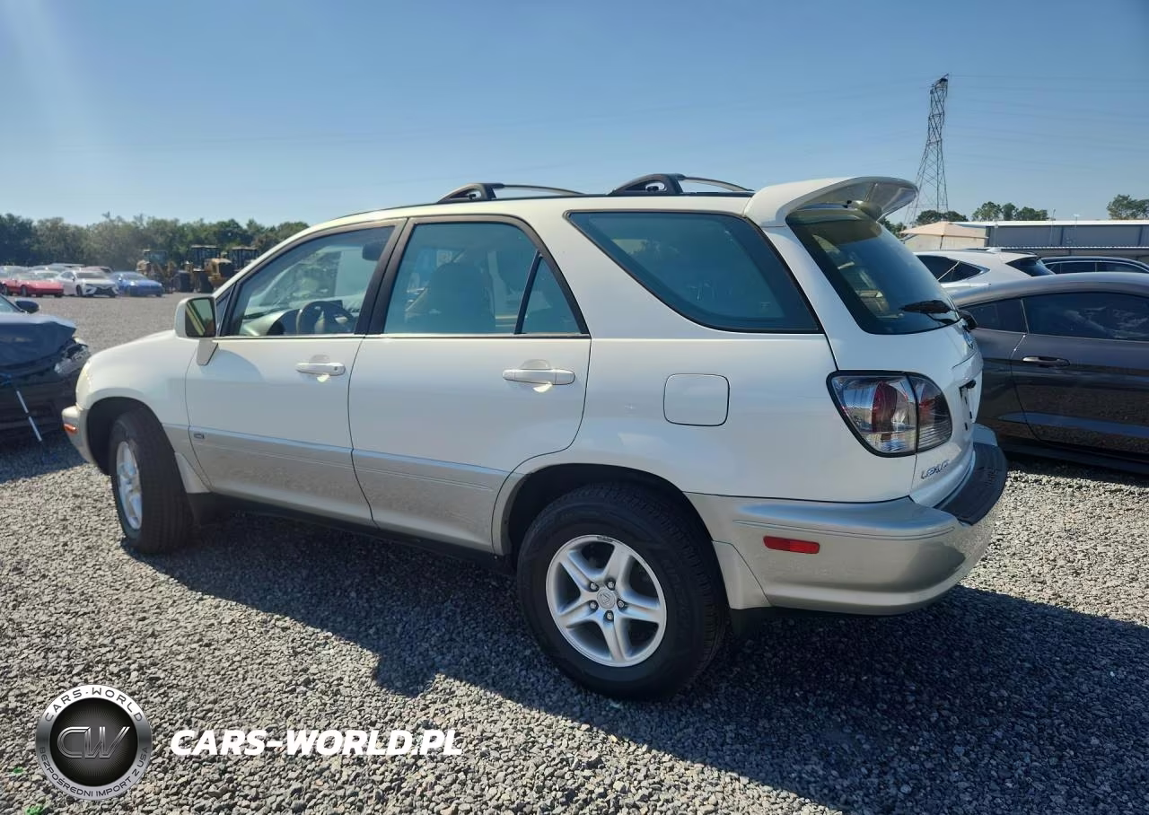 2002 Lexus Rx 300 VIN:JTJHF10U520254068 - 2