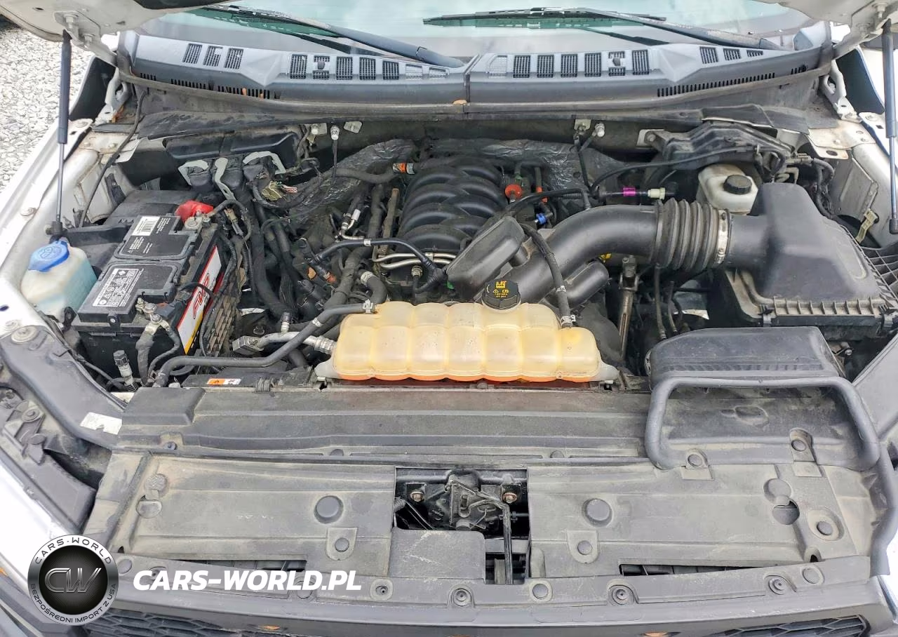 2018 Ford F150 Supercrew VIN:1FTFW1E53JKE18464 - 11