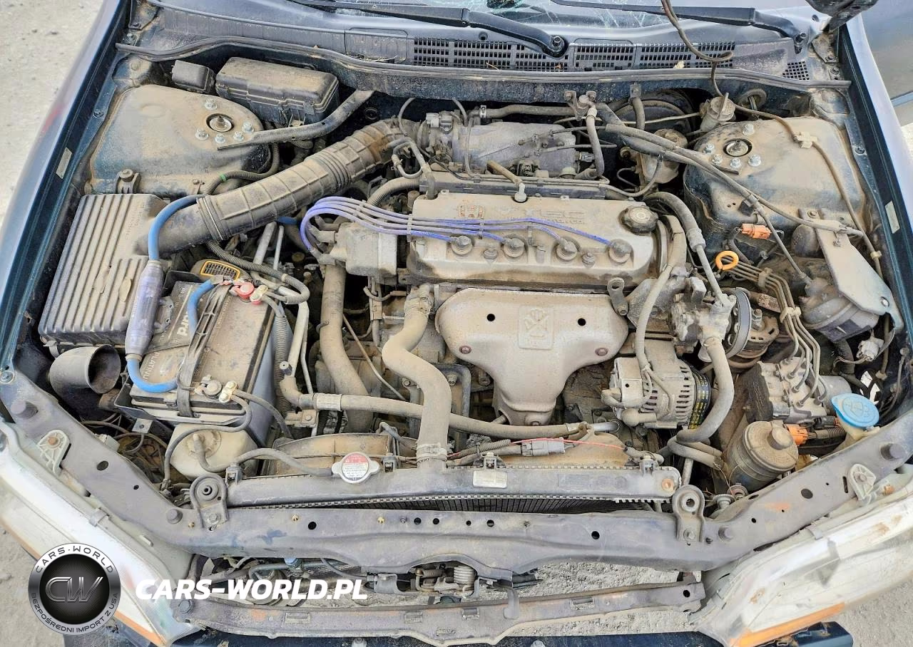 1998 Honda Accord Ex VIN:1HGCG5552WA076382 - 11