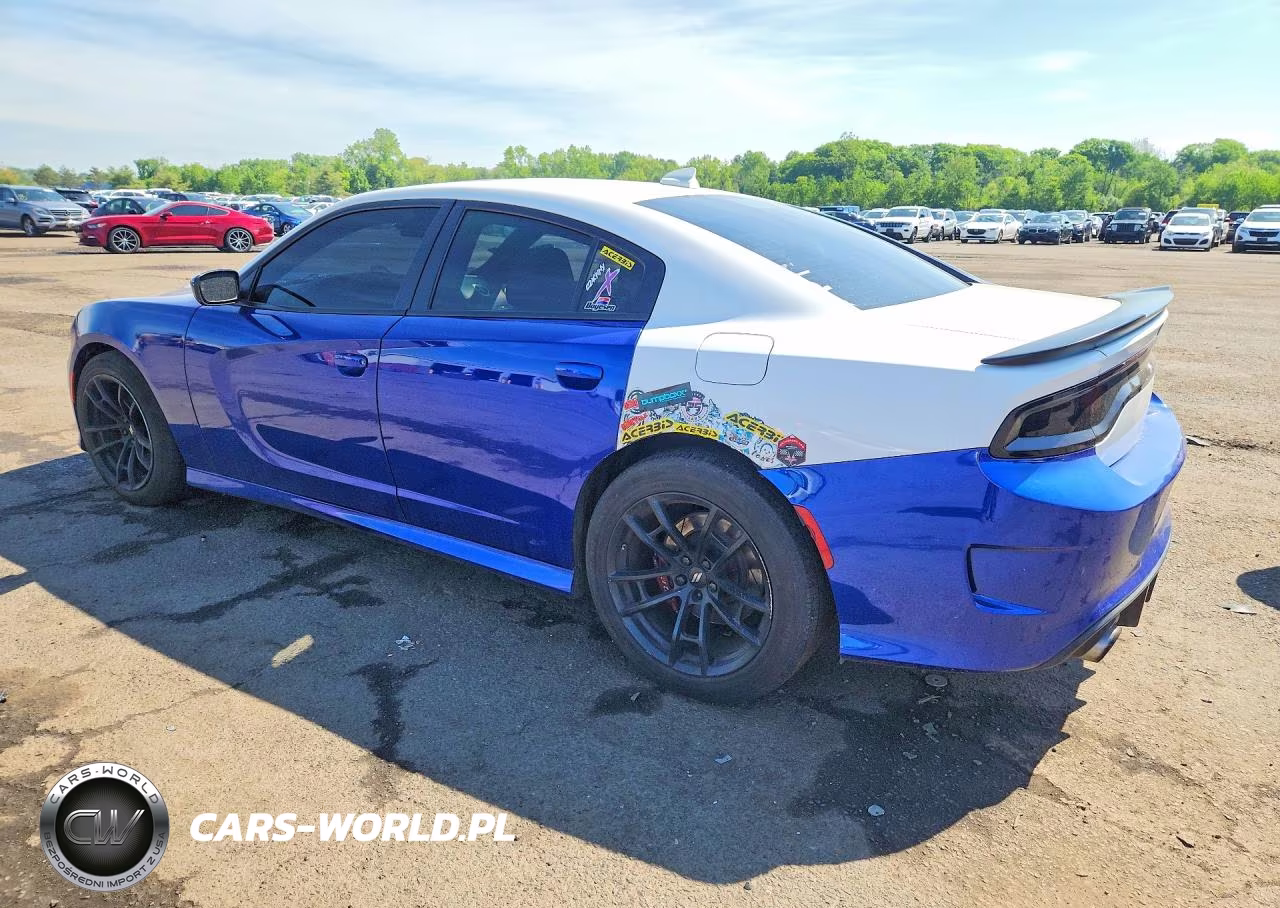 2020 Dodge Charger VIN:2C3CDXGJ5LH217976 - 2