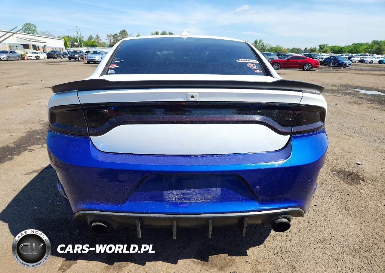 2020 Dodge Charger VIN:2C3CDXGJ5LH217976 - 6