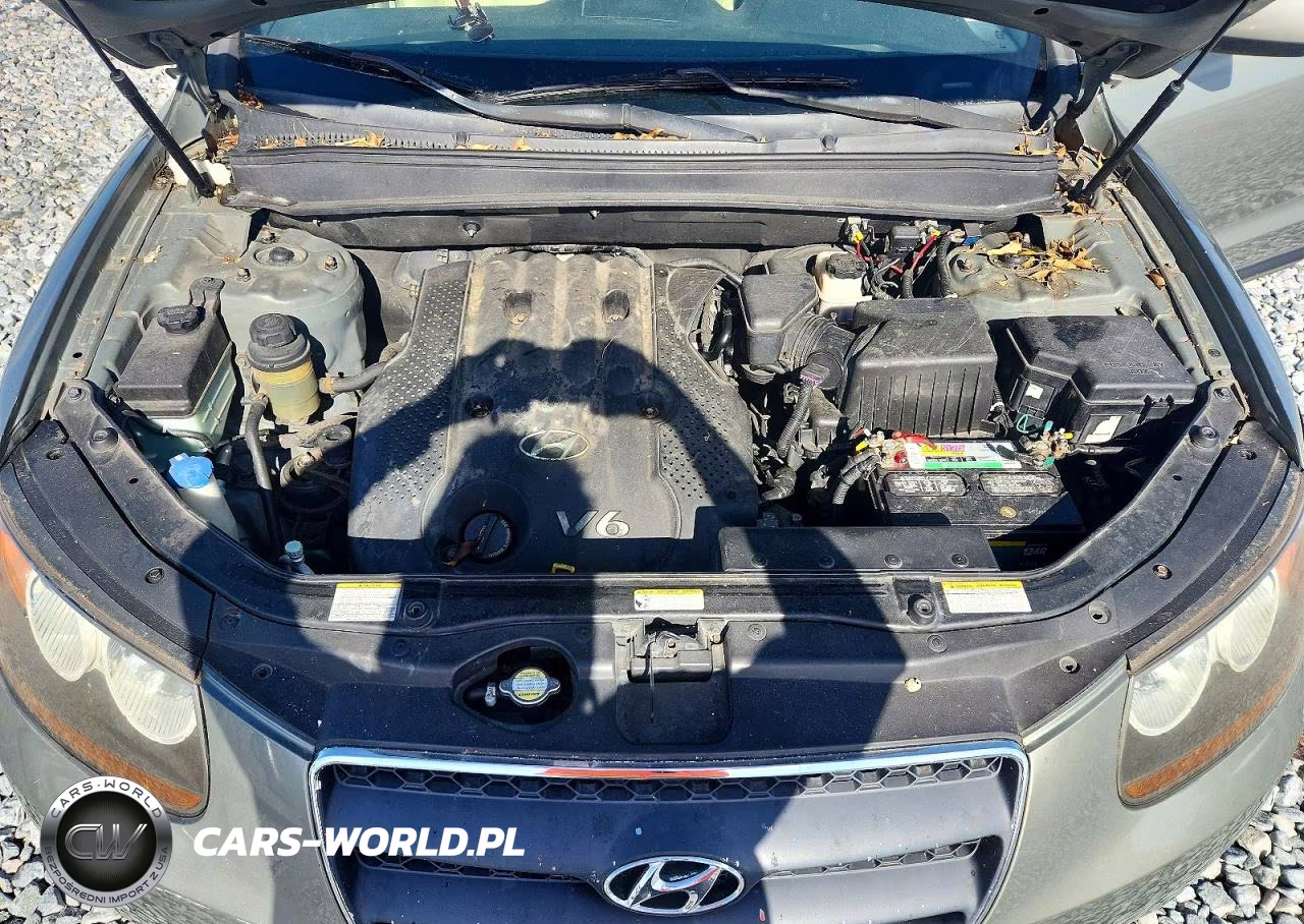 2007 Hyundai Santa Fe Gls VIN:5NMSG13D47H074766 - 12