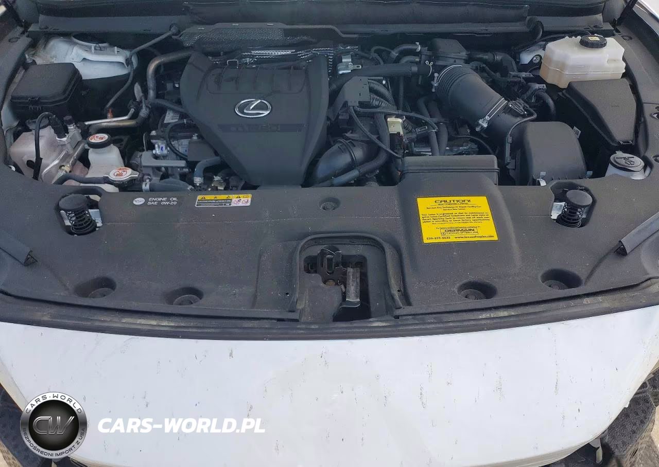 2024 Lexus Rx 500H F Sport VIN:2T2BCMEA0RC019302 - 12