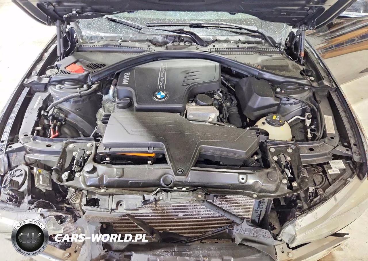 2015 BMW 428 I VIN:WBA3N7C59FK222805 - 11