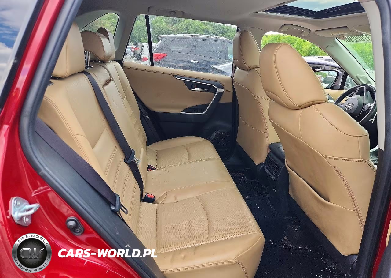 2019 Toyota Rav4 Limited VIN:JTMN1RFV4KD006356 - 10